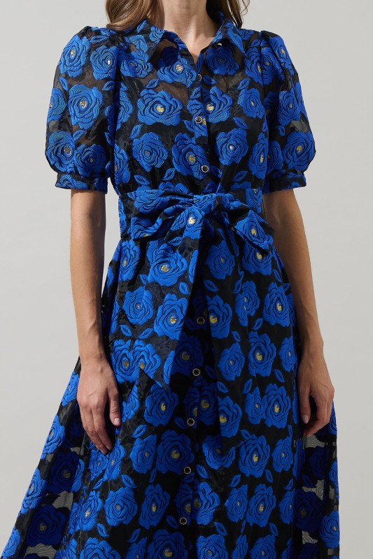 AVELINE MIDNIGHT ROSE DRESS