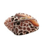 CONCH SHAPE HAIR CLAW CLIP