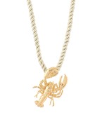 TEXTURED LOBSTER CORD CHOKER