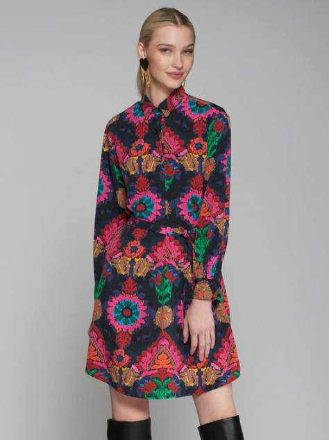 ANA SUZANY MARINO BUTTON COLLAR DRESS