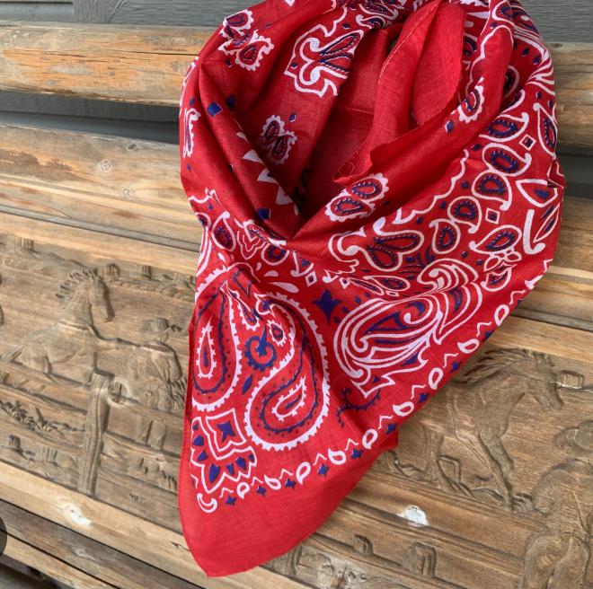 RED AND BLUE BANDANA SET