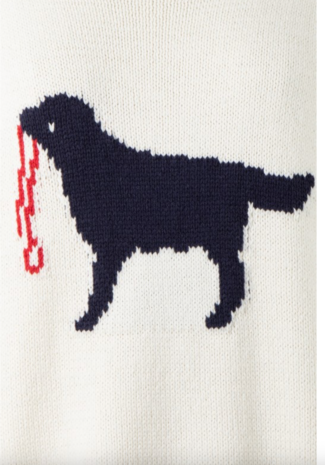 DOG WALKING SWEATER