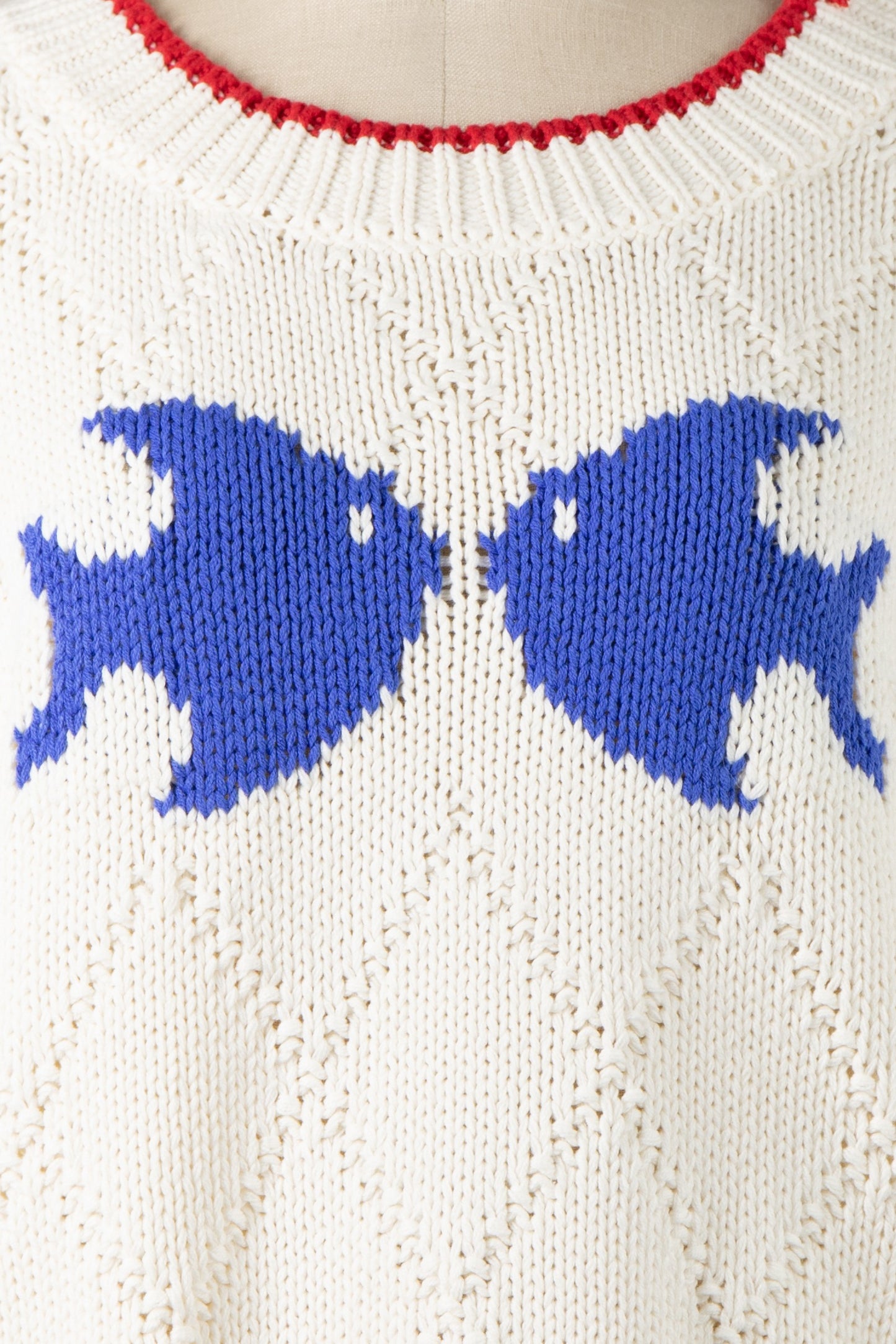 ALMOST KISSING BLUE FISH SWEATER