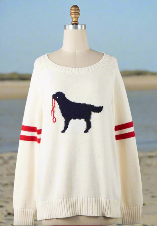 DOG WALKING SWEATER